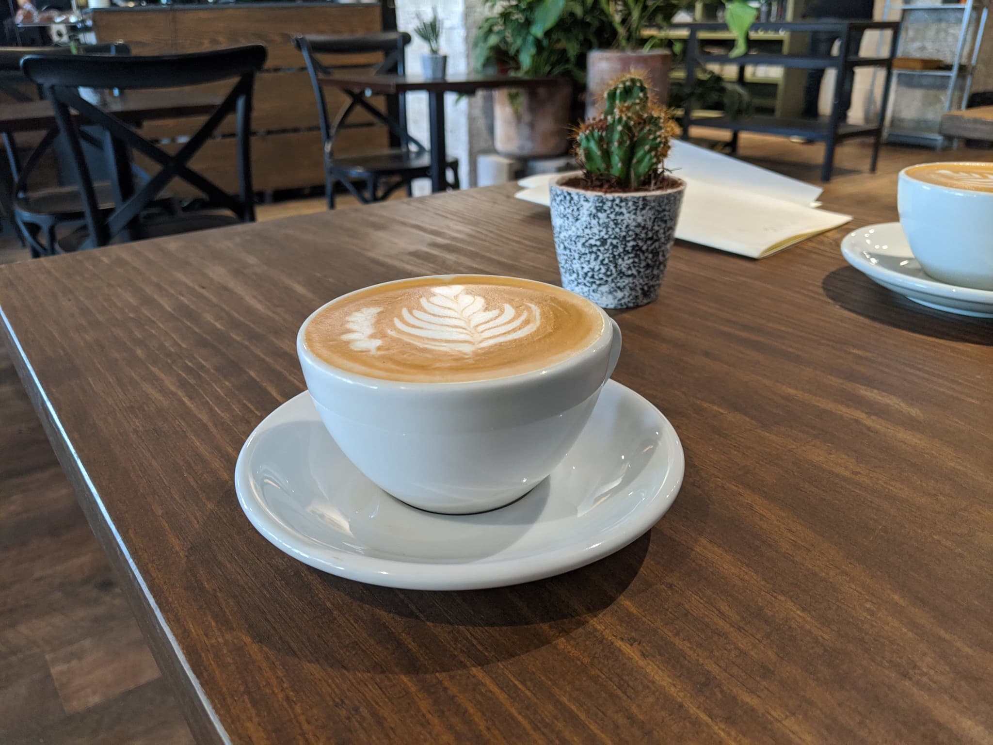 Coffee at Cafe Curado in Mexico City