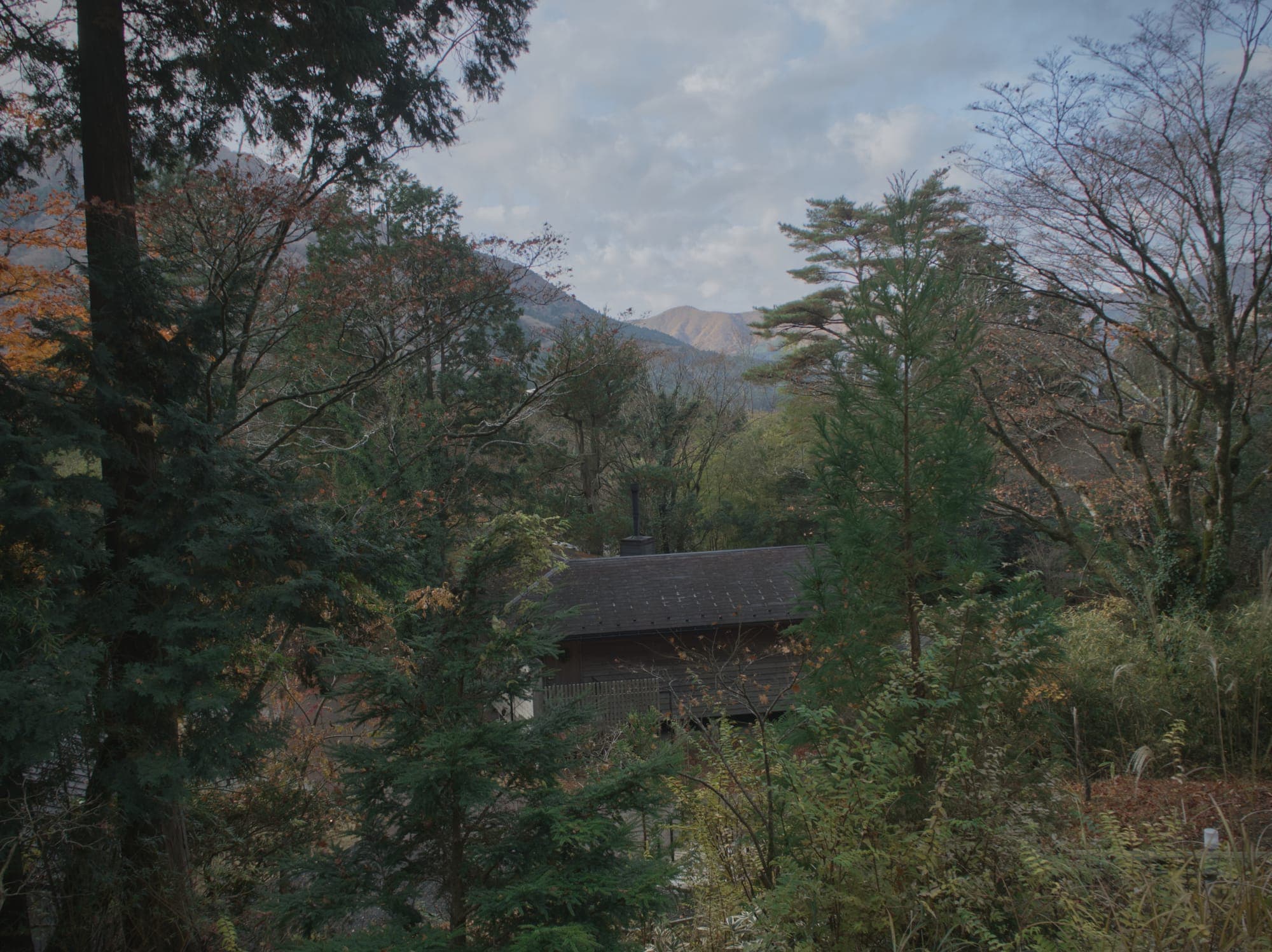 Trivet adds Google sign-in to Ghost