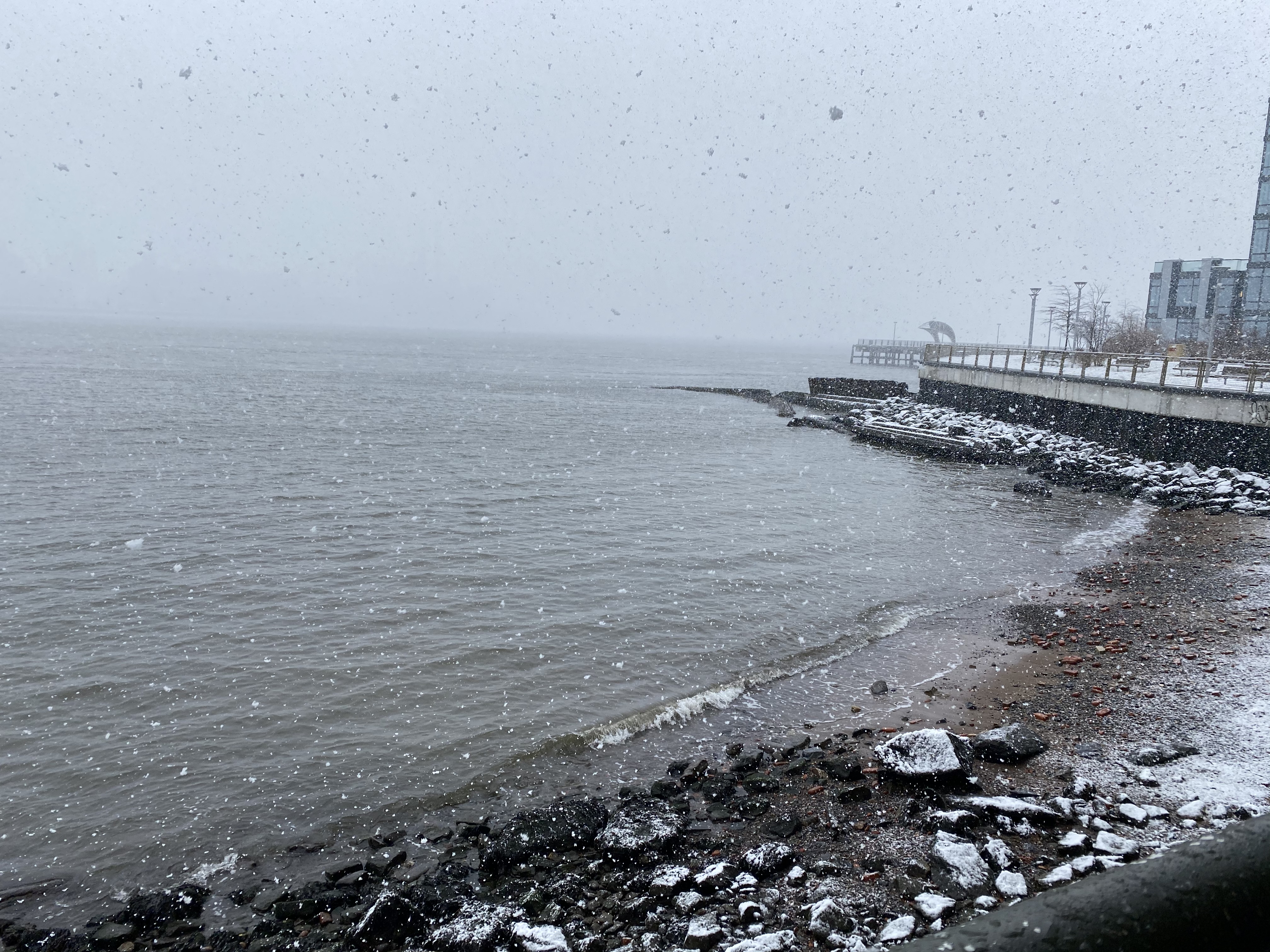 Snowstorm over the East River from Williamsburg